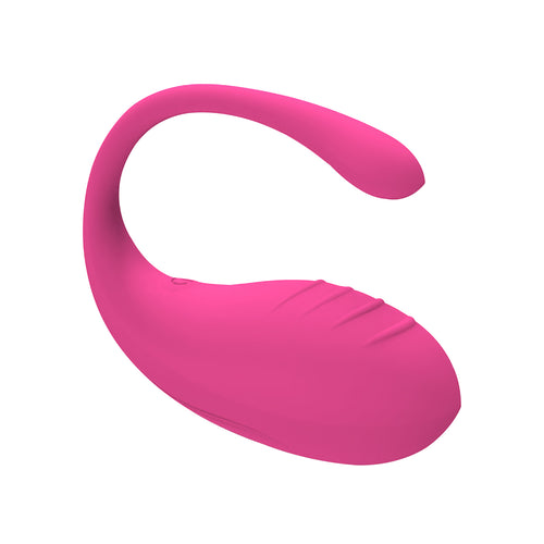 Remote Bullet Vibrator Womens Sex Toys